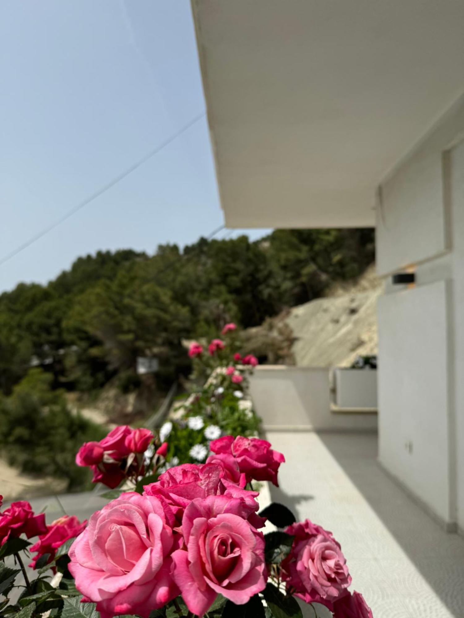 Villa D Hotel-Restaurant-Private Beach Дуррес Экстерьер фото